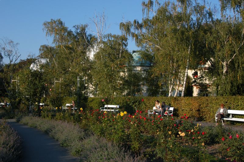 Petrin Rose park in the autumn