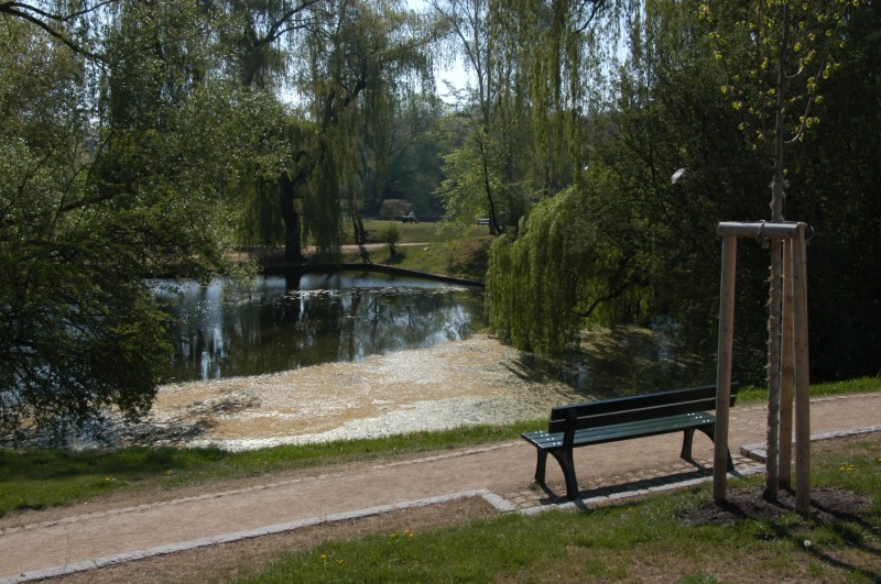 Splendid park in Prague-Brevnov