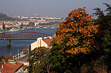 Bridges over the Vltava from Vysehrad