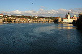 Bird over the Charles Bridge