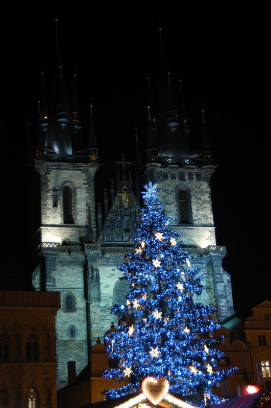 Christmas tree in front of the Church of Our Lady before the Tyn