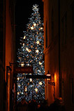 View of the Christmas tree from Tynska street