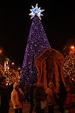 Christmas tree in Wenceslas Square