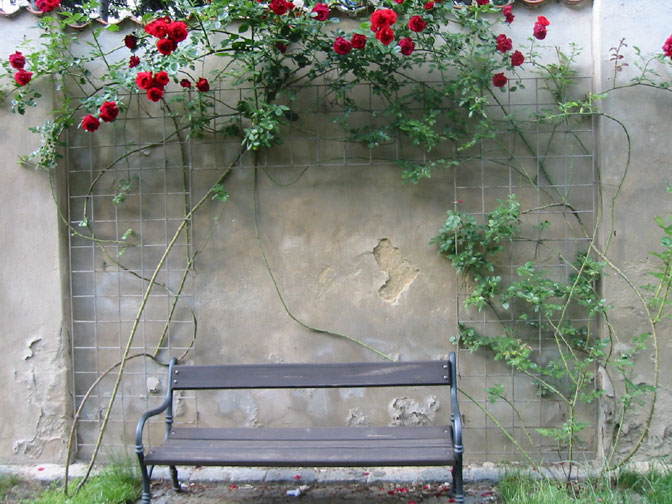 Bench at Vysehrad