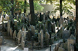 Tomb stones