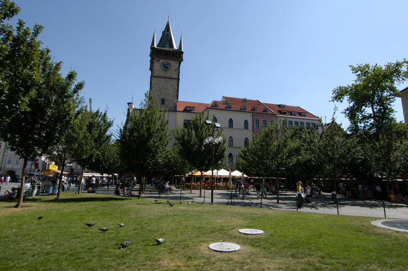 Park in the summer - view to the City Hall