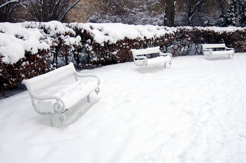 Snow in the Rose park (Petrin hill)