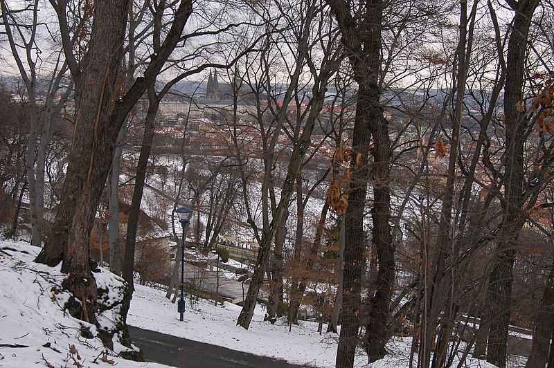 Prague Castle from Petrin Hill