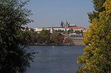 Taking a look between the autumn trees