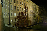 Royal Garden, night view