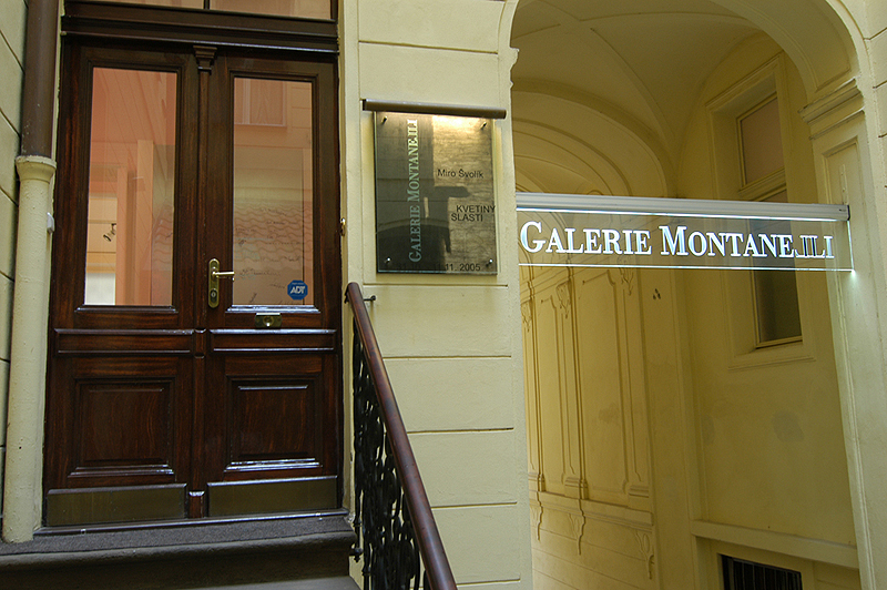 Montanelli Gallery - the entrance