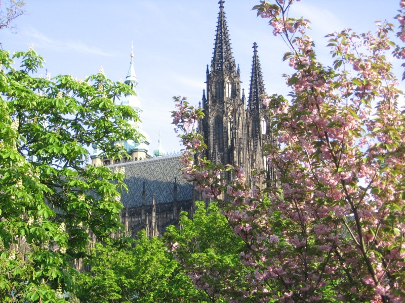 St Vitus Cathedral in spring