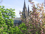St Vitus Cathedral in spring
