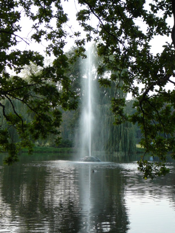 Idylic view in Stromovka park