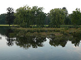 Pond in Stromovka park