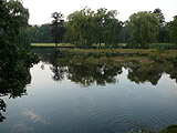 Take a rest in Stromovka park