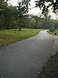 One of the many paths in Stromovka park
