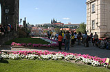 Charles Bridge, Old Town Tower