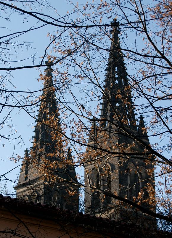 Leaves blown away by the winter wind - Vysehrad Church Towers